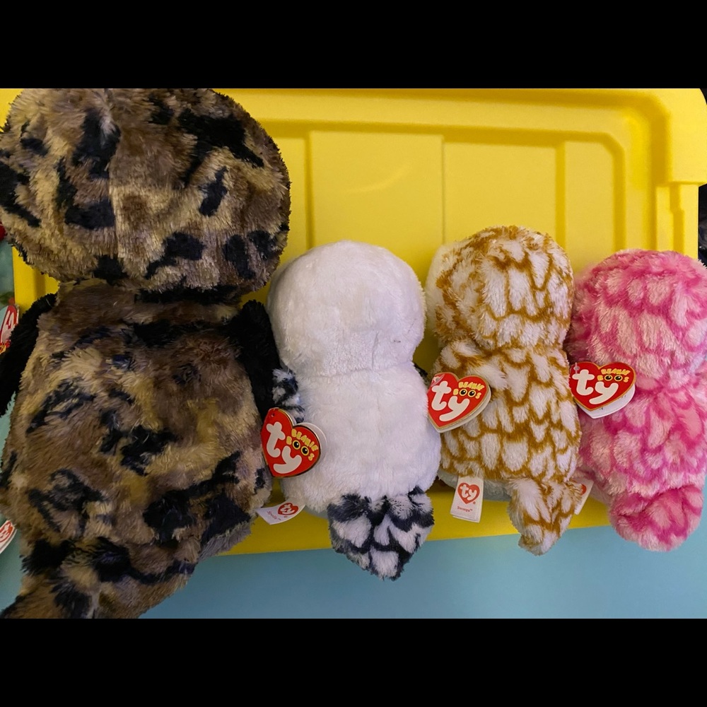 TY Owl Collection Bundle - Picture 6 of 6